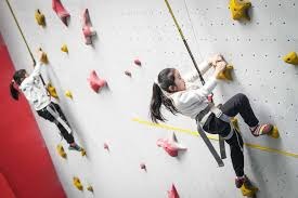 陈雨辰职业生涯首次赢得二星级1.45米大奖赛！2026年金伯乐国际马术场地障碍赛圆满落幕